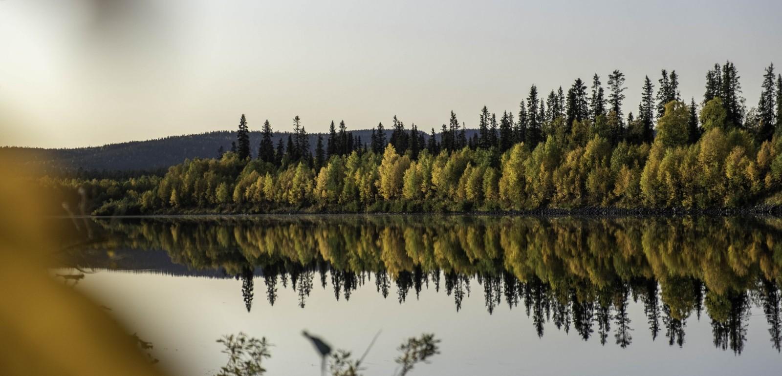 Ruskaa ja kulttuuria Inarissa ja sen ympäristössä 5 pv - Pohjolan Matka