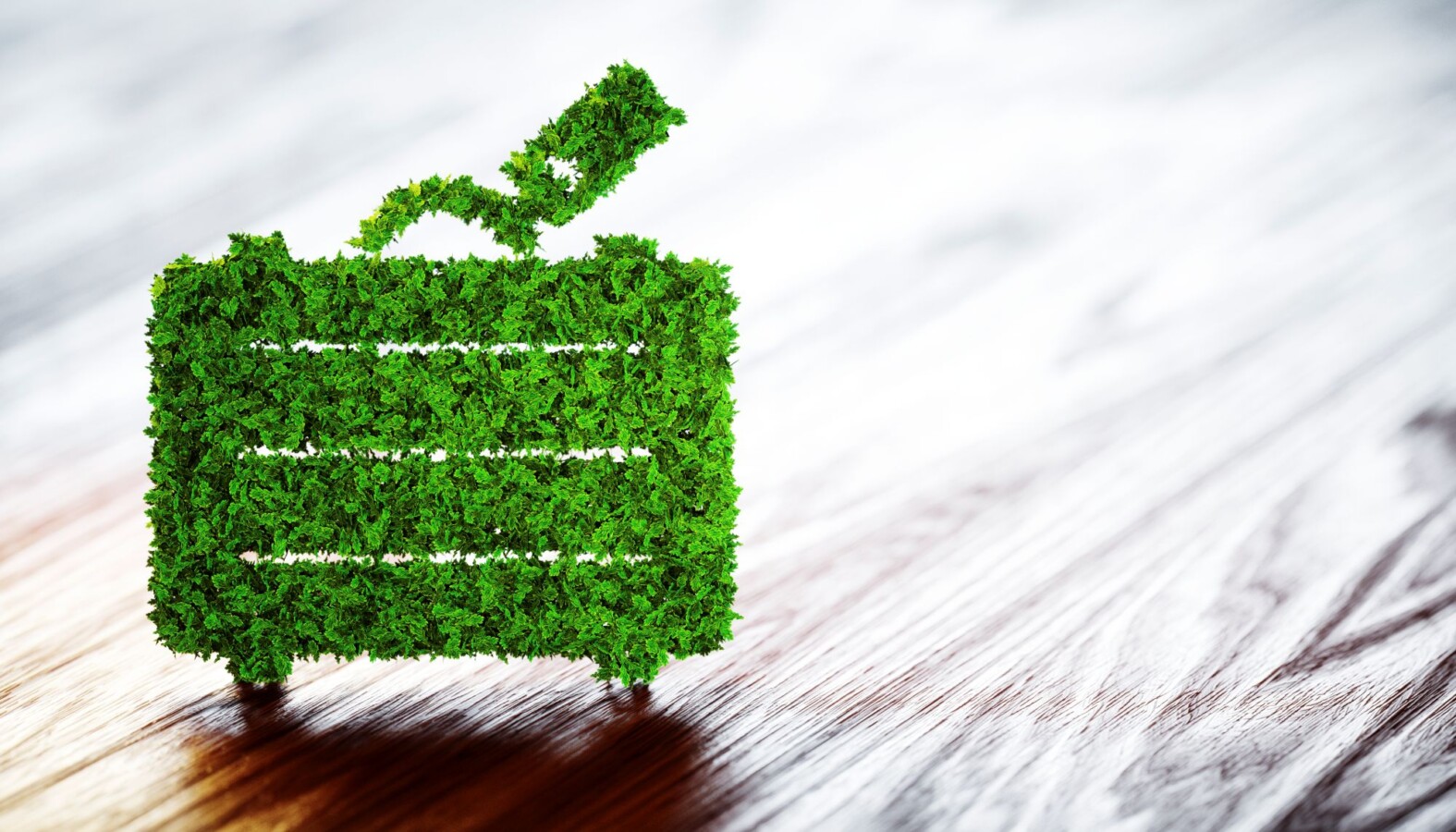 Sustainable travel business