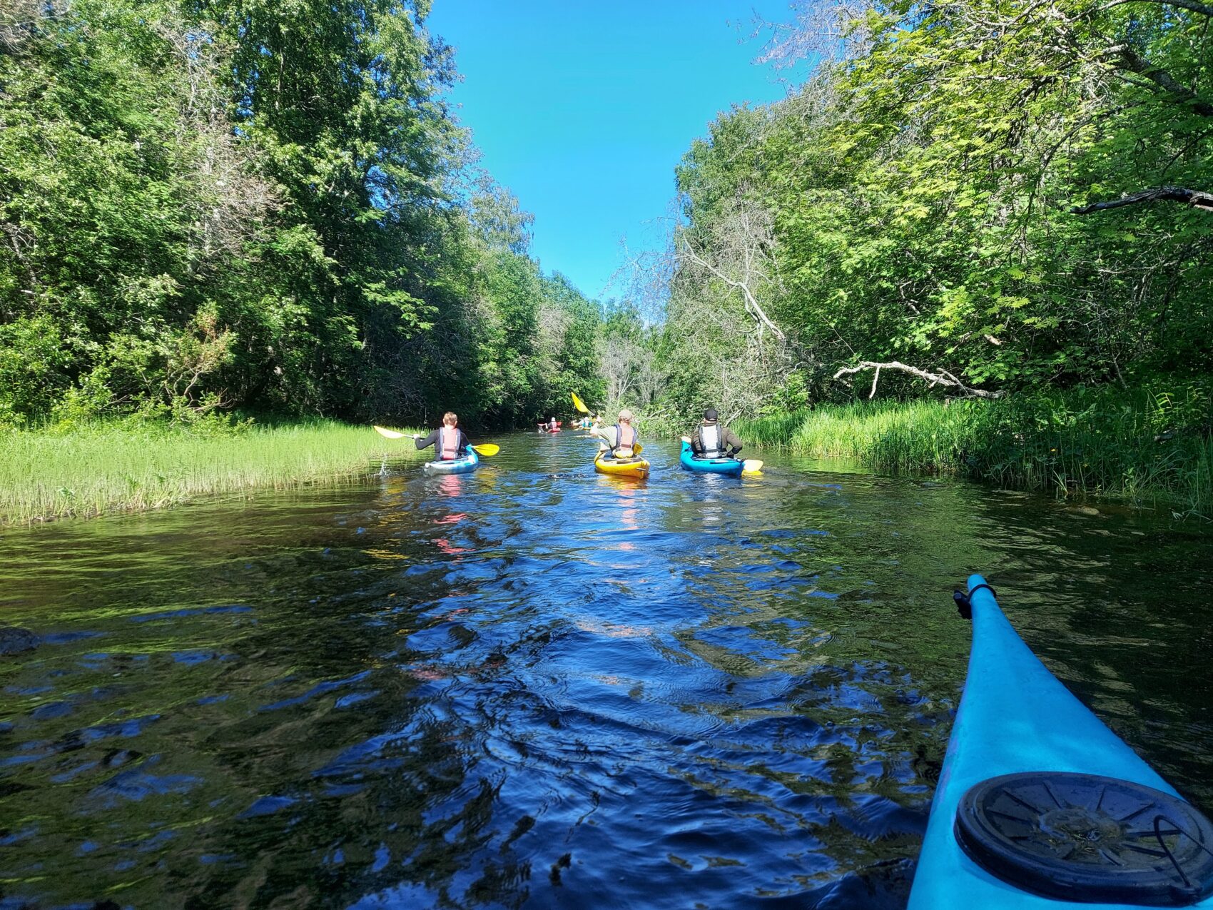 Kayaking on the Oulu River Delta
